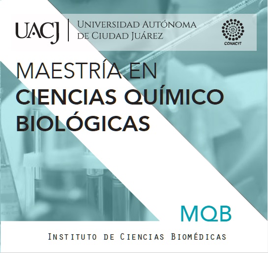 ICB logo maestria