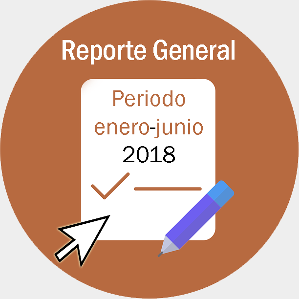 Reporte-general-enero-junio-18.png